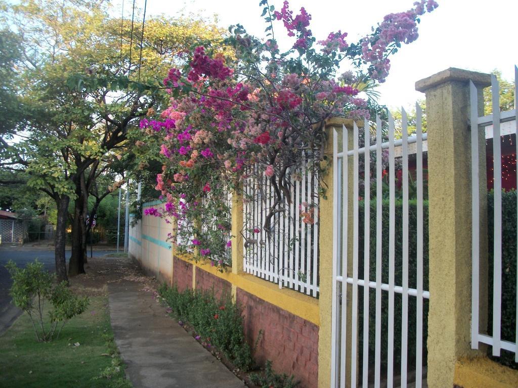 Hostal Casa Los Espinoza 马那瓜湖 外观 照片
